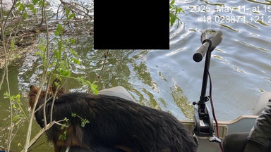 A Tiszából került elő az eltűnt 17 éves