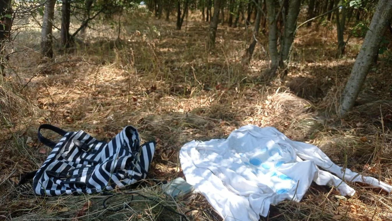  A Tiszaújvárosi Rendőrkapitányság a lakosság segítségét kéri egy 15 éves, tiszakeszi lány eltűnése ügyében. Eltűnt egy 16 éves mezőcsáti fiú.