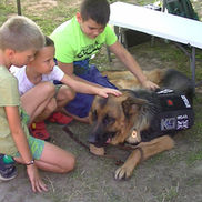 Tiszakeszi Ádámert 2025. július 19.