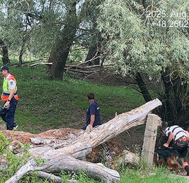 2025. augusztus 30-án Radnai Tamás