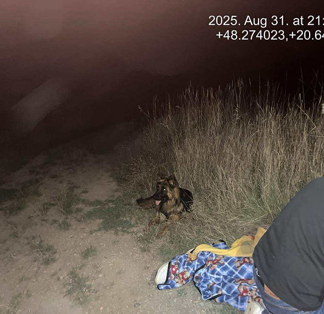 2025. augusztus 30-án Radnai Tamás