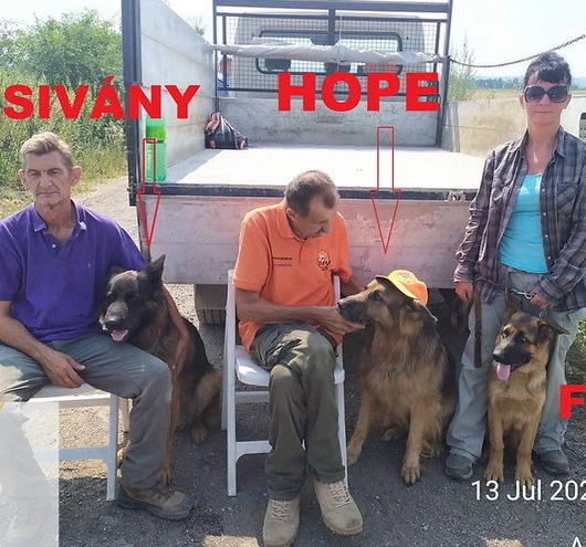 Lehoczki‑Spider László szakmai öröksége Losonczi József munkájában él tovább. Az ECHO Mentőcsoport a tőle tanult keresési és mentési értékeket viszi tovább.