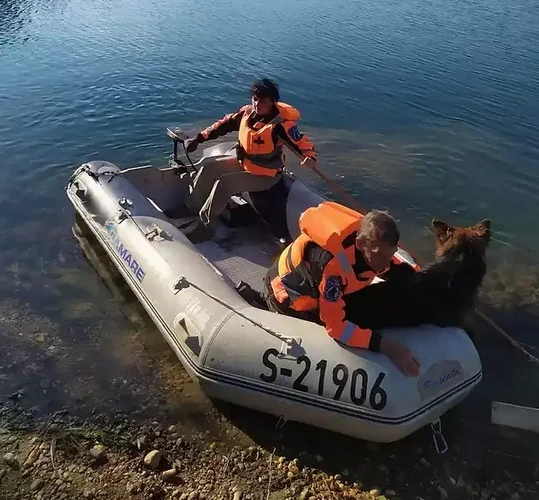  A Nyíregyházi Rendőrkapitányság Kemecsei Rendőrőrse körözési eljárást folytat az 54 éves G. Csaba kemecsei lakos eltűnése miatt.