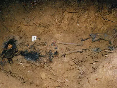 HRDDs detect more recently deceased individuals through the scent of decomposition
