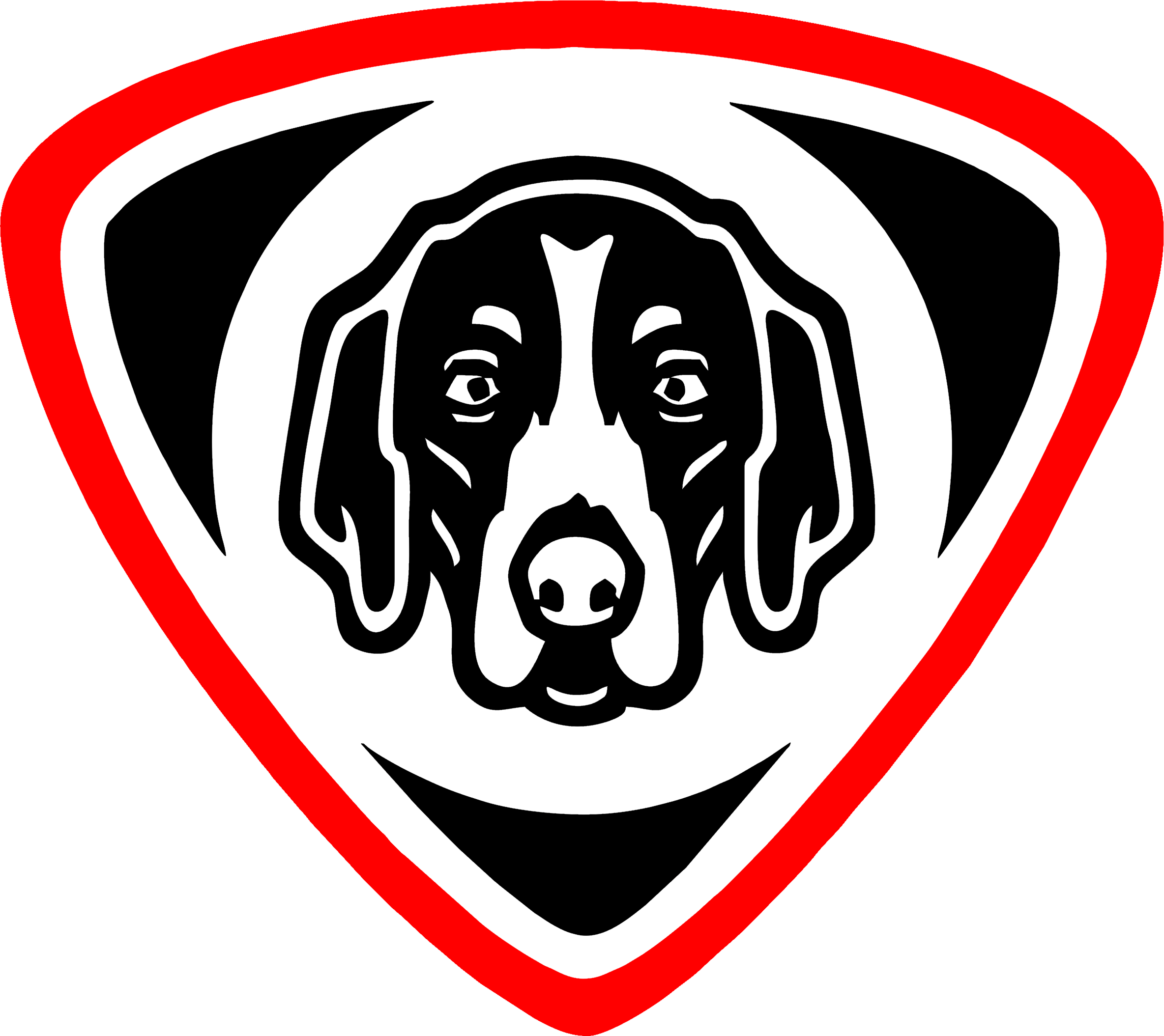 Biztonságtechnika, Riasztórendszerek, Kamerarendszerek